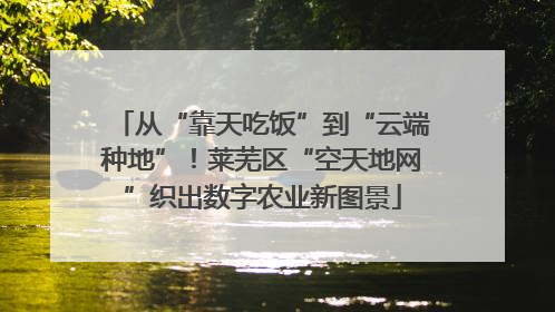 从“靠天吃饭”到“云端种地”！莱芜区“空天地网”织出数字农业新图景