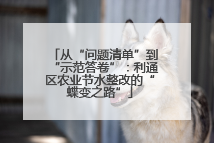 从“问题清单”到“示范答卷”：利通区农业节水整改的“蝶变之路”
