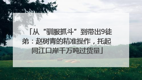 从“驯服抓斗”到带出9徒弟：赵树青的精准操作，托起同江口岸千万吨过货量