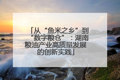 从“鱼米之乡”到“数字粮仓”：湖南粮油产业高质量发展的创新实践