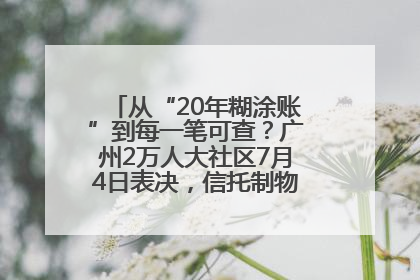 从“20年糊涂账”到每一笔可查？广州2万人大社区7月4日表决，信托制物业如何取“信”？