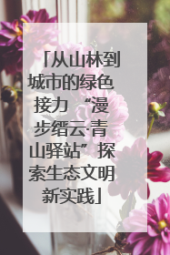 从山林到城市的绿色接力 “漫步缙云·青山驿站”探索生态文明新实践
