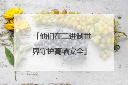 他们在二进制世界守护高墙安全