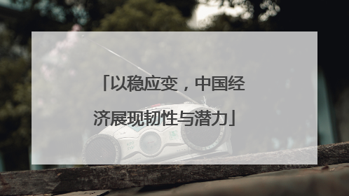 以稳应变，中国经济展现韧性与潜力