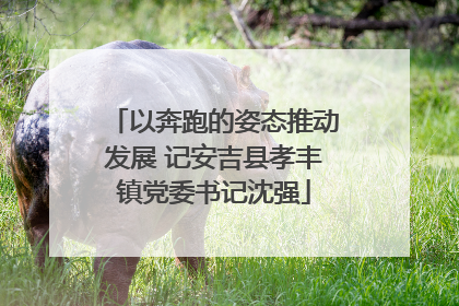 以奔跑的姿态推动发展 记安吉县孝丰镇党委书记沈强