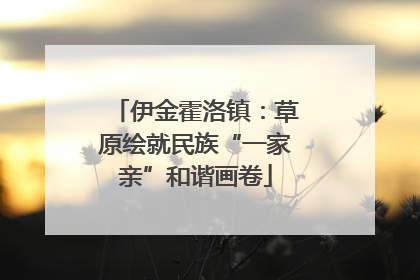 伊金霍洛镇：草原绘就民族“一家亲”和谐画卷