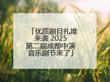 优质剧目扎堆来袭 2025第二届成都中演音乐剧节来了
