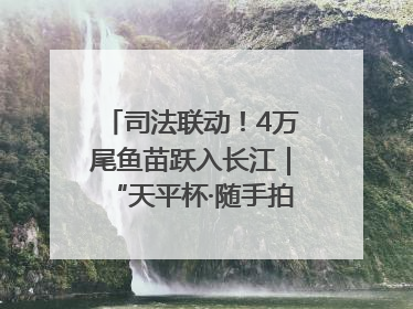 司法联动！4万尾鱼苗跃入长江｜“天平杯·随手拍”作品展播