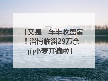 又是一年丰收盛景！淄博临淄29万余亩小麦开镰啦