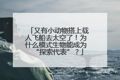 又有小动物搭上载人飞船去太空了！为什么模式生物能成为“探索代表”？