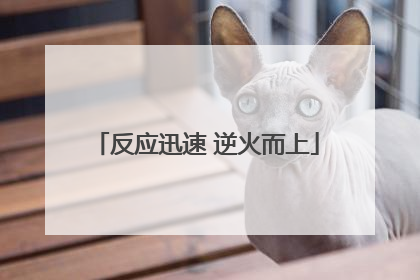 反应迅速 逆火而上