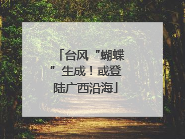 台风“蝴蝶”生成！或登陆广西沿海