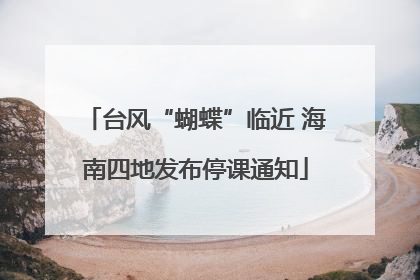 台风“蝴蝶”临近 海南四地发布停课通知
