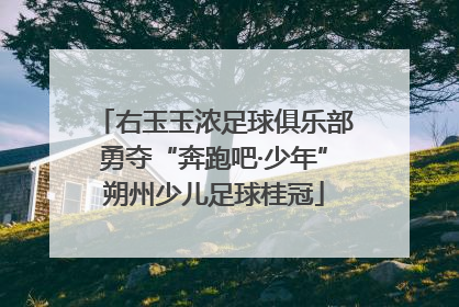 右玉玉浓足球俱乐部勇夺“奔跑吧·少年”朔州少儿足球桂冠