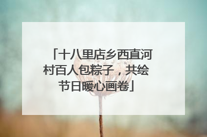 十八里店乡西直河村百人包粽子，共绘节日暖心画卷