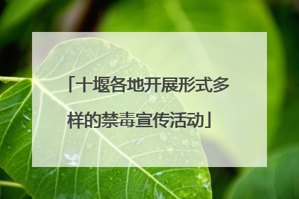 十堰各地开展形式多样的禁毒宣传活动