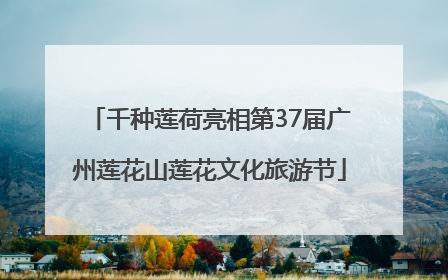 千种莲荷亮相第37届广州莲花山莲花文化旅游节