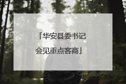 华安县委书记会见重点客商