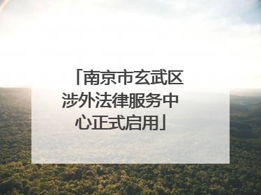 南京市玄武区涉外法律服务中心正式启用