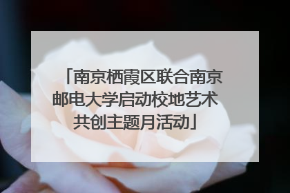 南京栖霞区联合南京邮电大学启动校地艺术共创主题月活动