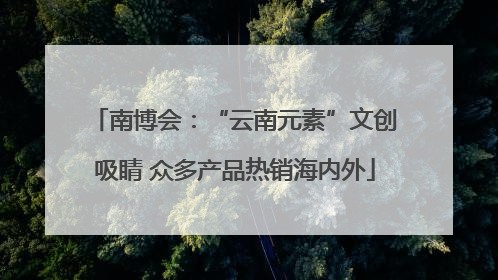 南博会：“云南元素”文创吸睛 众多产品热销海内外