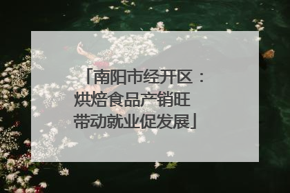 南阳市经开区：烘焙食品产销旺 带动就业促发展