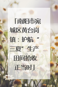 南阳市宛城区黄台岗镇：护航“三夏”生产 田间抢收正当时
