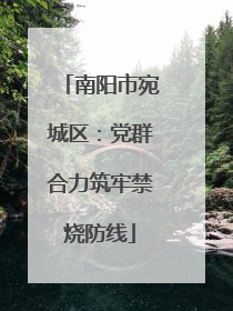 南阳市宛城区：党群合力筑牢禁烧防线