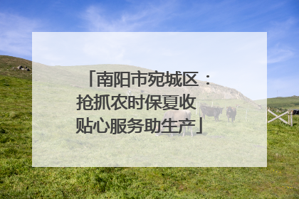 南阳市宛城区：抢抓农时保夏收 贴心服务助生产