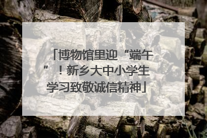 博物馆里迎“端午”！新乡大中小学生学习致敬诚信精神
