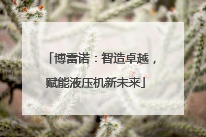 博雷诺：智造卓越，赋能液压机新未来