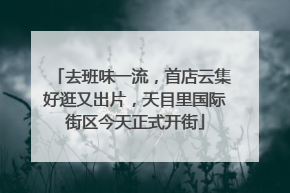 去班味一流，首店云集好逛又出片，天目里国际街区今天正式开街