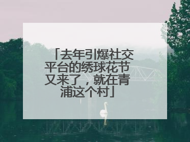 去年引爆社交平台的绣球花节又来了，就在青浦这个村
