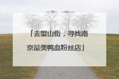 去望山街，寻找南京最美鸭血粉丝店