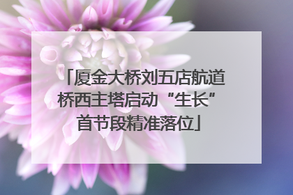厦金大桥刘五店航道桥西主塔启动“生长” 首节段精准落位