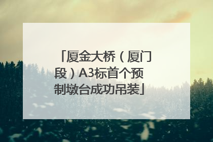 厦金大桥（厦门段）A3标首个预制墩台成功吊装