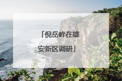 倪岳峰在雄安新区调研