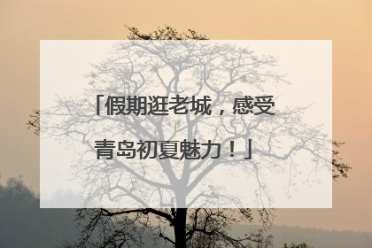 假期逛老城，感受青岛初夏魅力！
