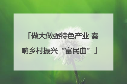 做大做强特色产业 奏响乡村振兴“富民曲”