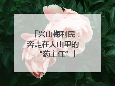兴山梅利民：奔走在大山里的“药主任”