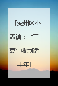 兖州区小孟镇：“三夏”收割话丰年