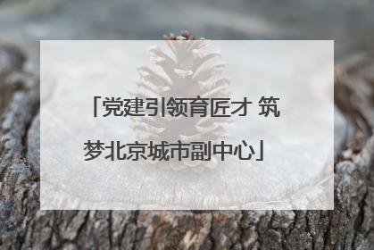 党建引领育匠才 筑梦北京城市副中心