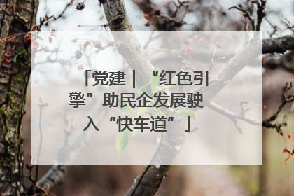 党建｜“红色引擎”助民企发展驶入“快车道”