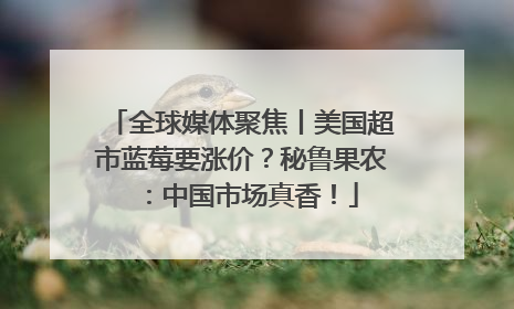 全球媒体聚焦丨美国超市蓝莓要涨价？秘鲁果农：中国市场真香！