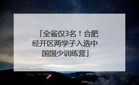 全省仅3名！合肥经开区两学子入选中国国少训练营