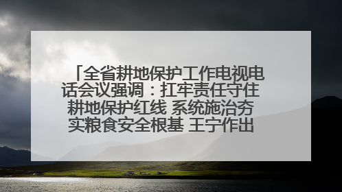 全省耕地保护工作电视电话会议强调：扛牢责任守住耕地保护红线 系统施治夯实粮食安全根基 王宁作出批示 王予波出席并讲话