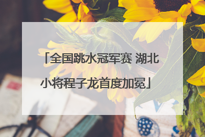 全国跳水冠军赛 湖北小将程子龙首度加冕