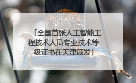 全国首张人工智能工程技术人员专业技术等级证书在天津颁发