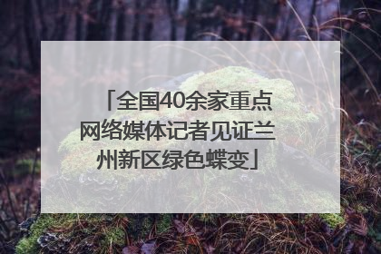 全国40余家重点网络媒体记者见证兰州新区绿色蝶变