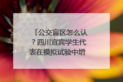 公交盲区怎么认？四川宜宾学生代表在模拟试验中增强乘车安全意识